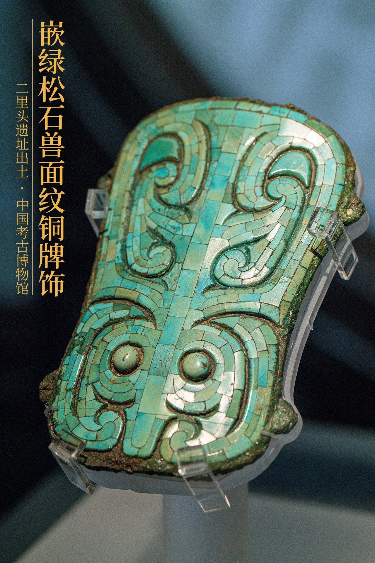 IMG_7319.PNG
