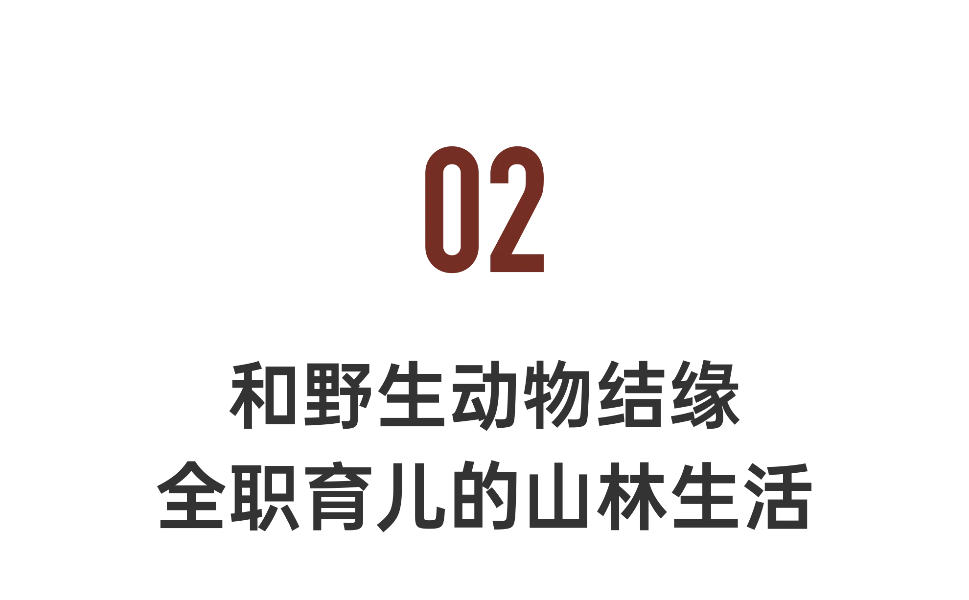 IMG_7460.PNG