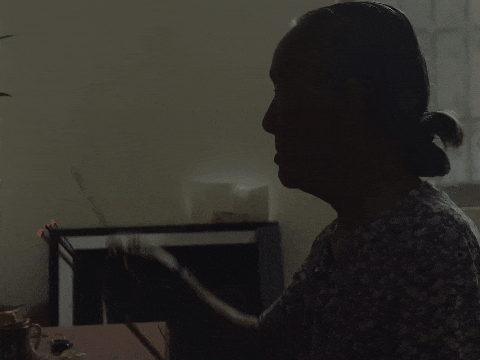 IMG_7913.GIF
