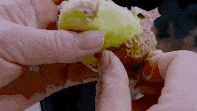 IMG_4434 (1).gif