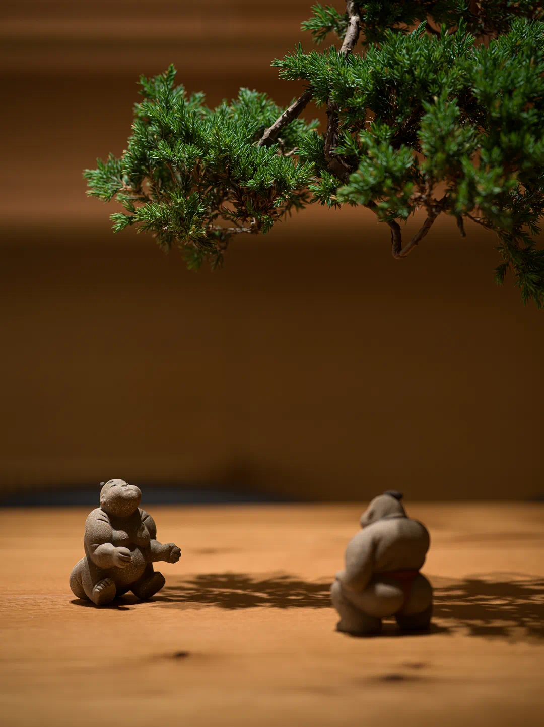 IMG_7505.PNG