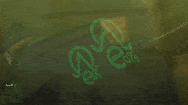 IMG_3165-ezgif.com-optimize.gif