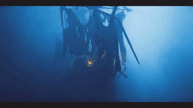 IMG_3492.GIF