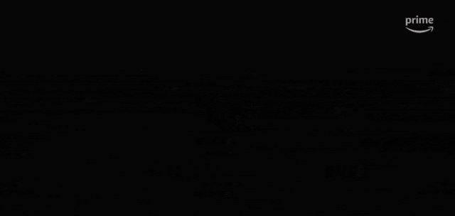 IMG_7413.GIF
