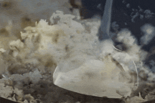 IMG_73062-ezgif.com-optimize.gif