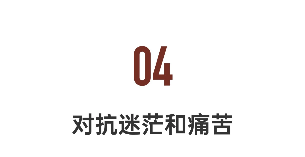 IMG_5240.PNG