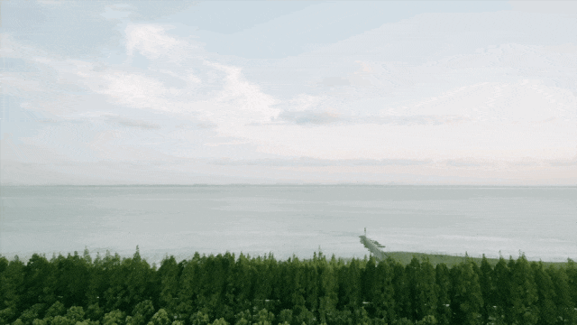IMG_0250.GIF