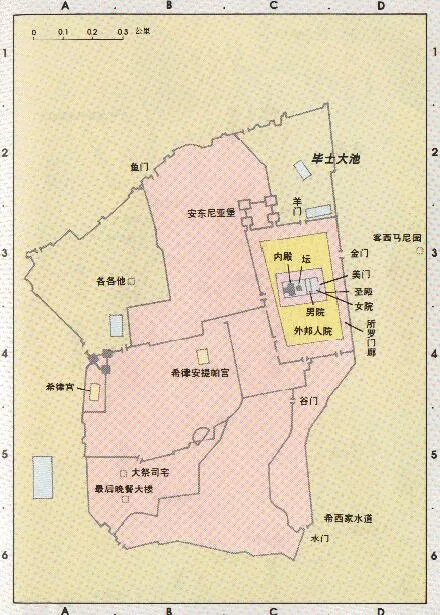 20.jpg