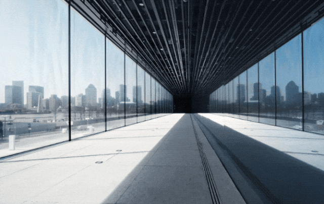 IMG_8680.GIF