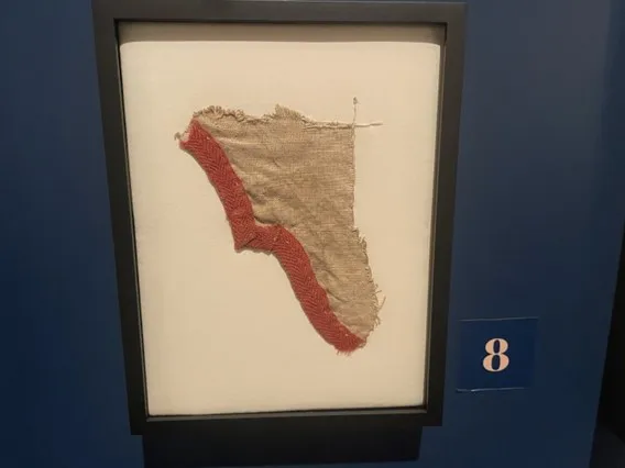 5a.jpg