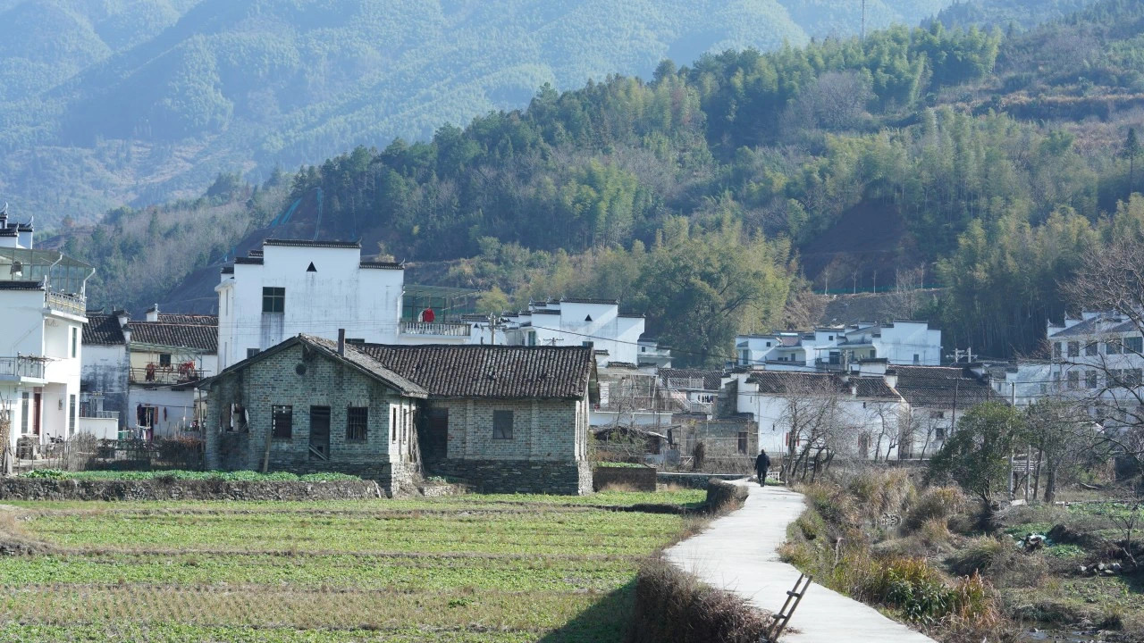 IMG_9914.JPG