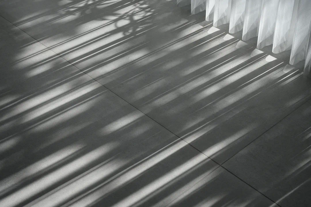 IMG_6366.PNG