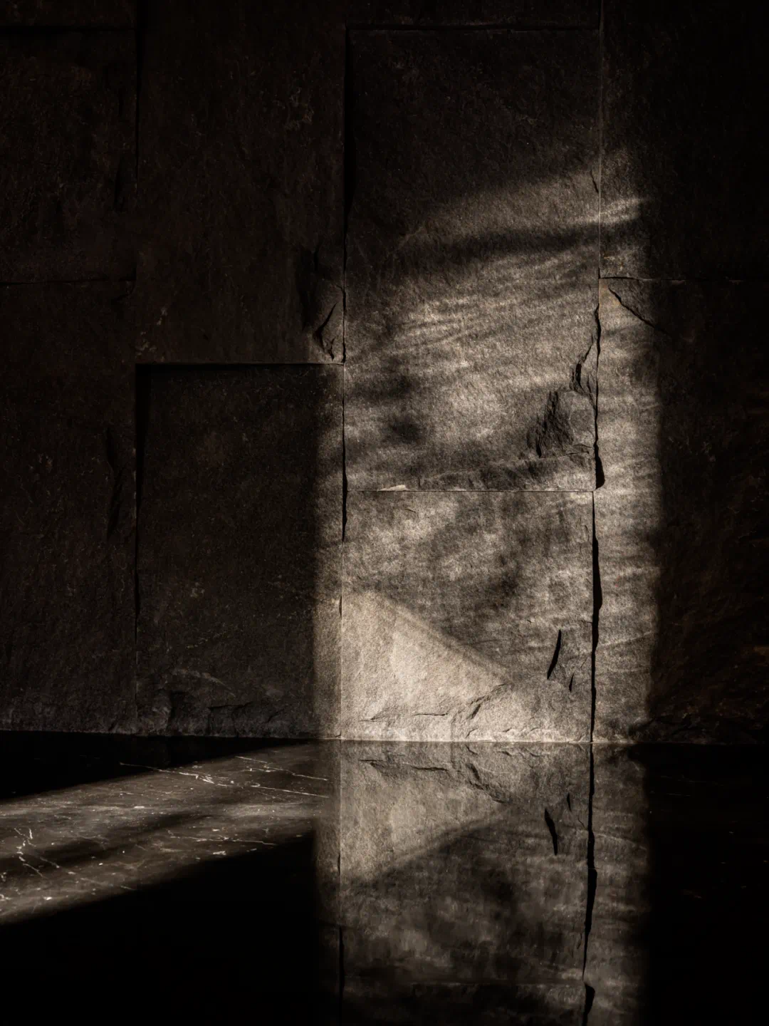 IMG_7014.PNG