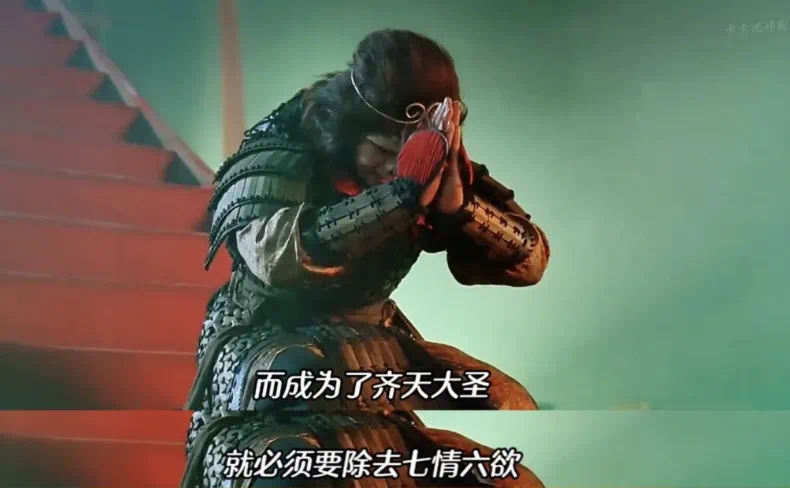 IMG_7556.PNG