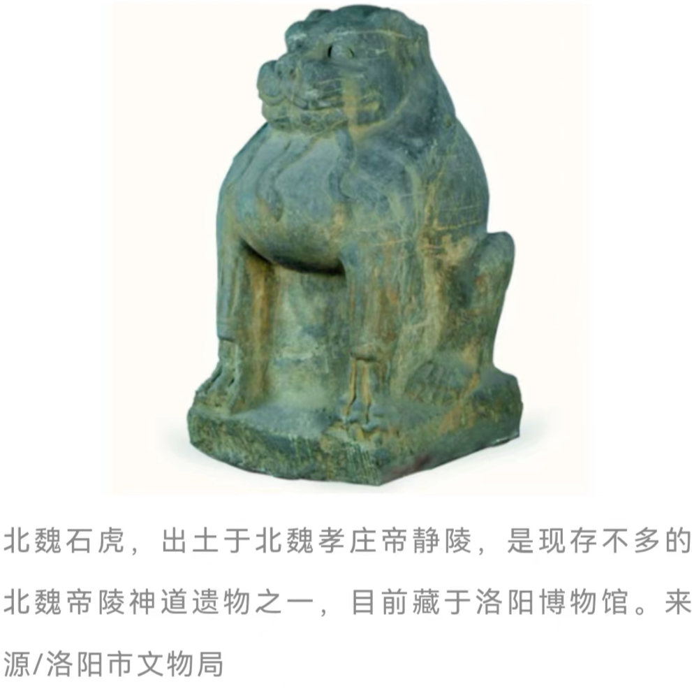 IMG_6343.PNG
