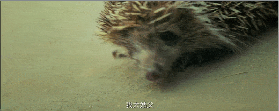 IMG_9252-ezgif.com-optimize.gif