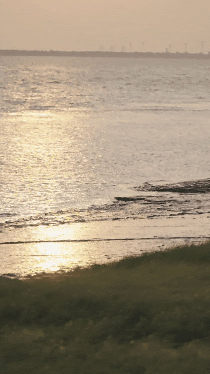 IMG_0302.GIF