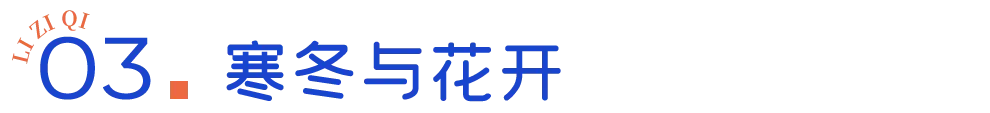 IMG_2200.PNG