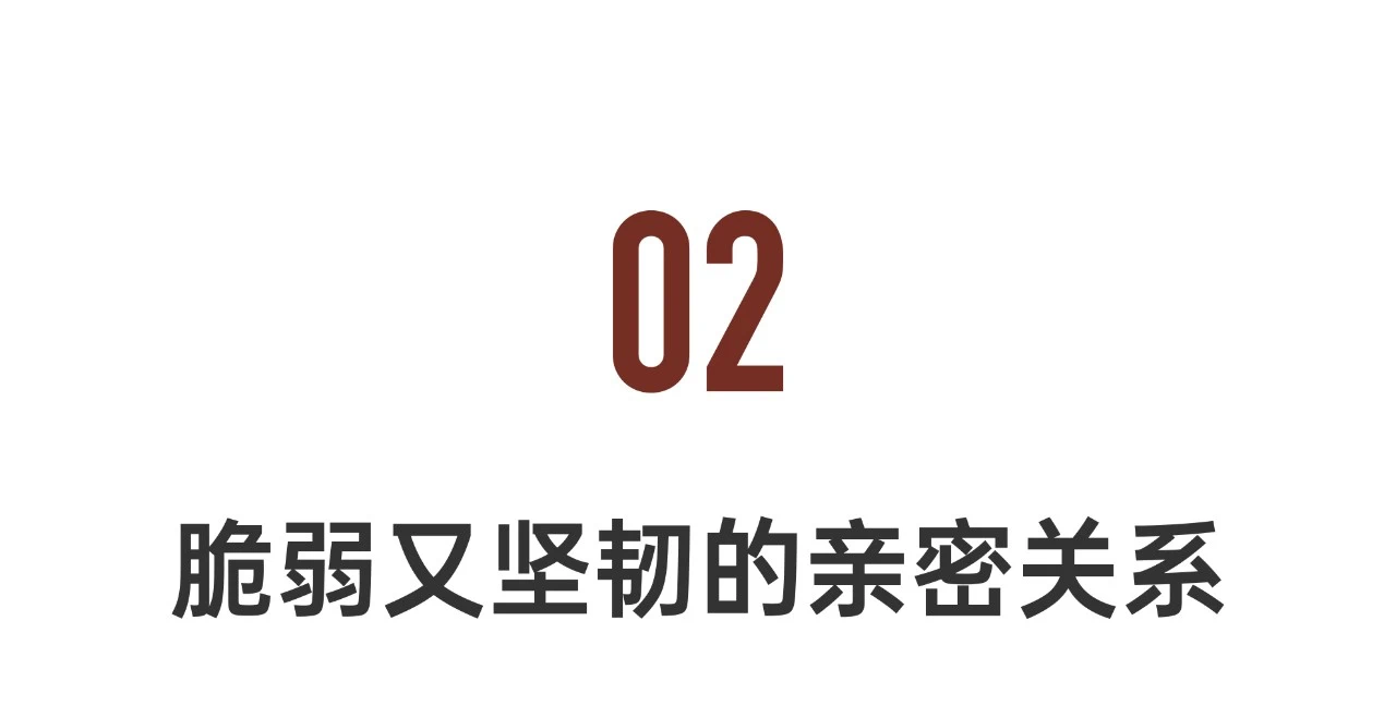 IMG_3927.PNG