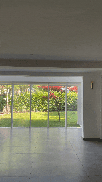 IMG_4672.GIF