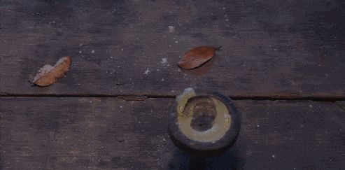 a1.jpg