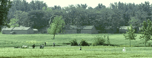 a1.gif