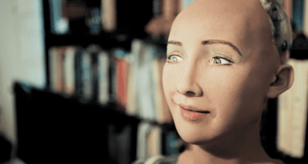 IMG_5702.GIF