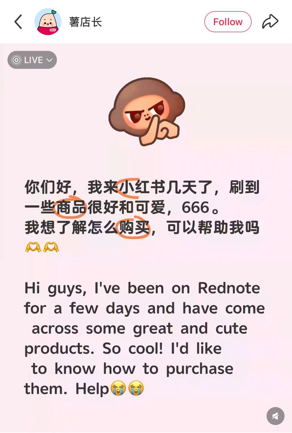 a1.jpg