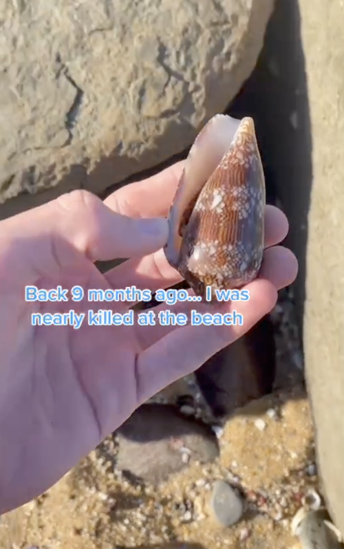 a1.png