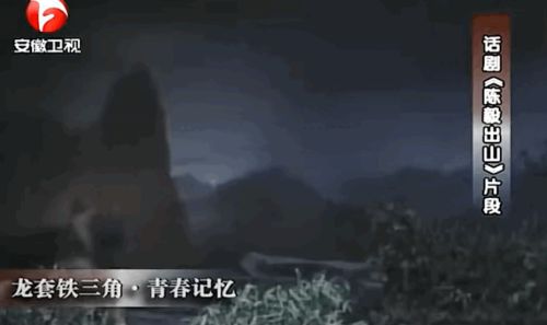 a1.jpg