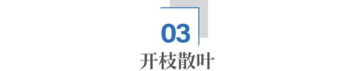 a1.jpg