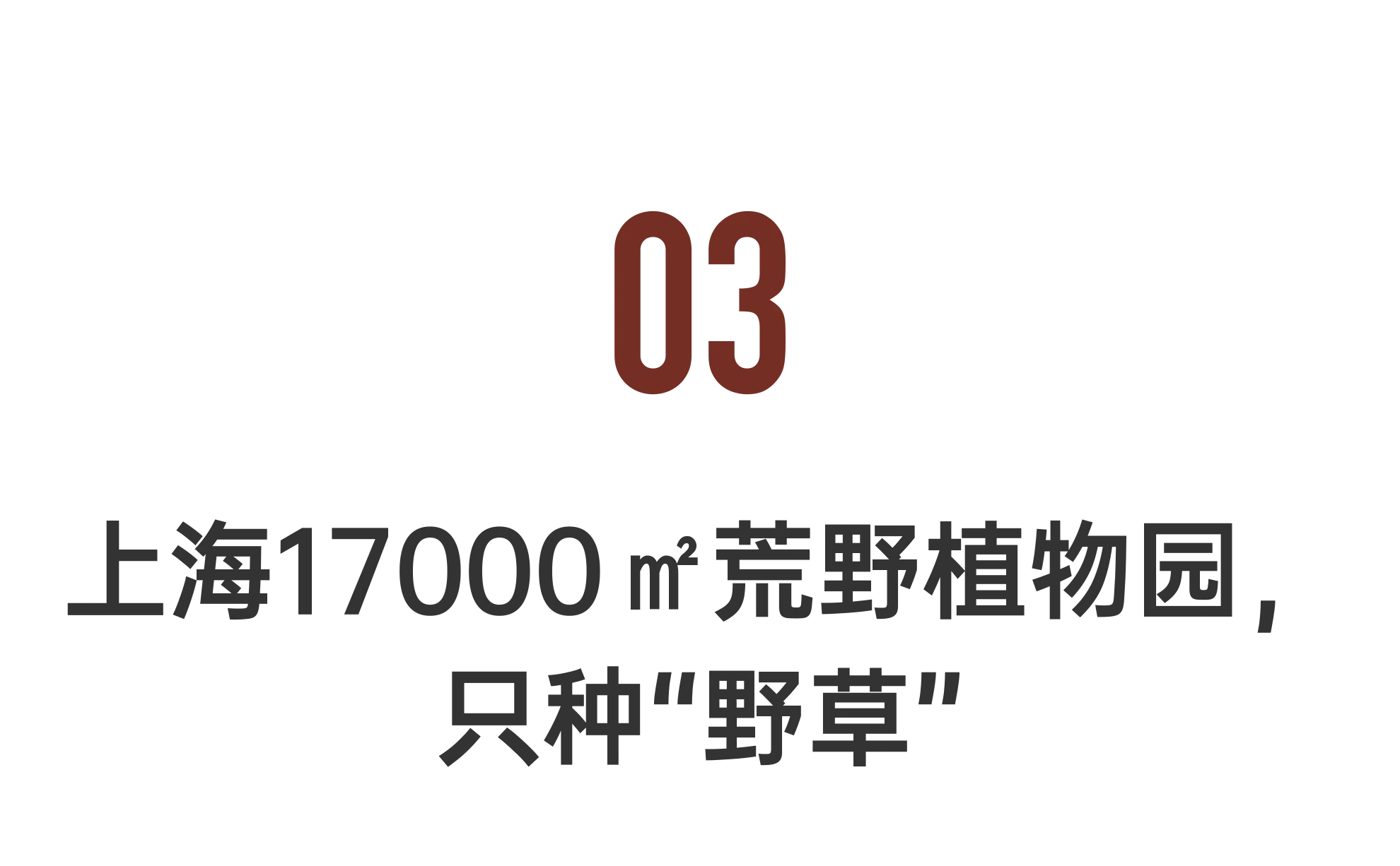 IMG_4326.PNG