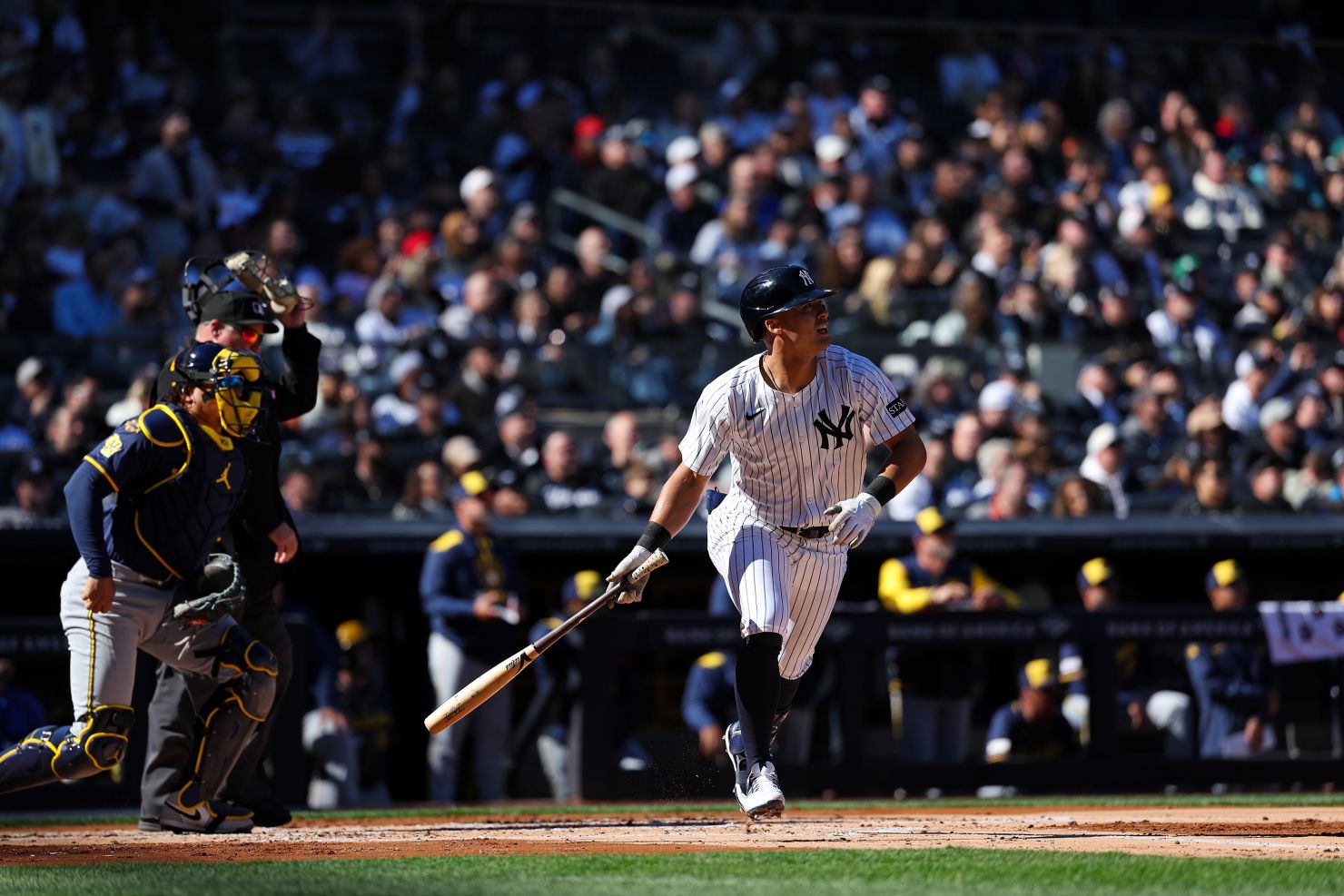 30-gettyimages-2206717433-jpg.jpg