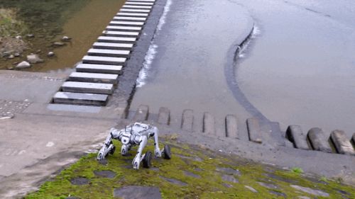 a1.jpg
