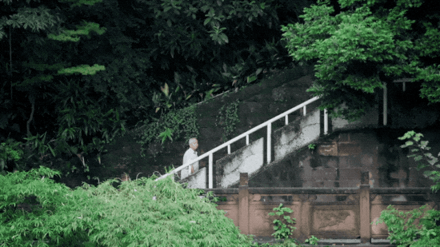 IMG_7437.GIF