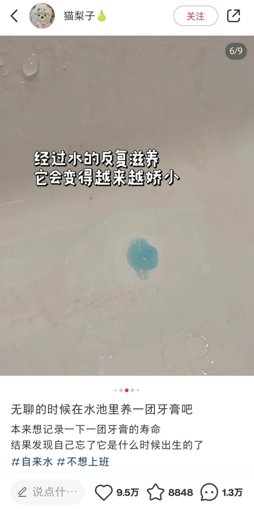 a1.png