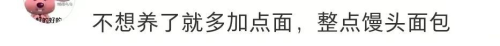 a1.png