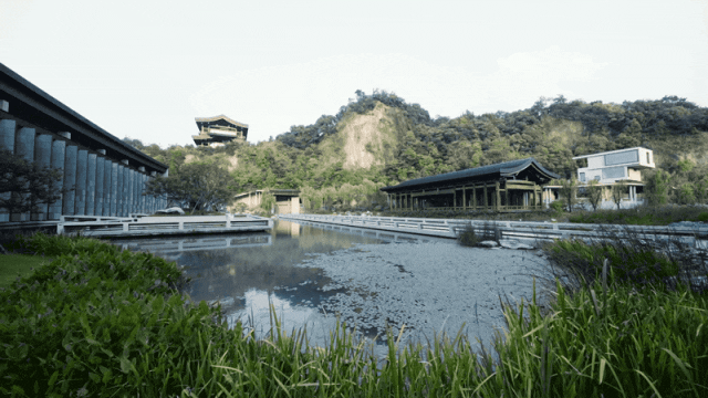 IMG_9283.GIF