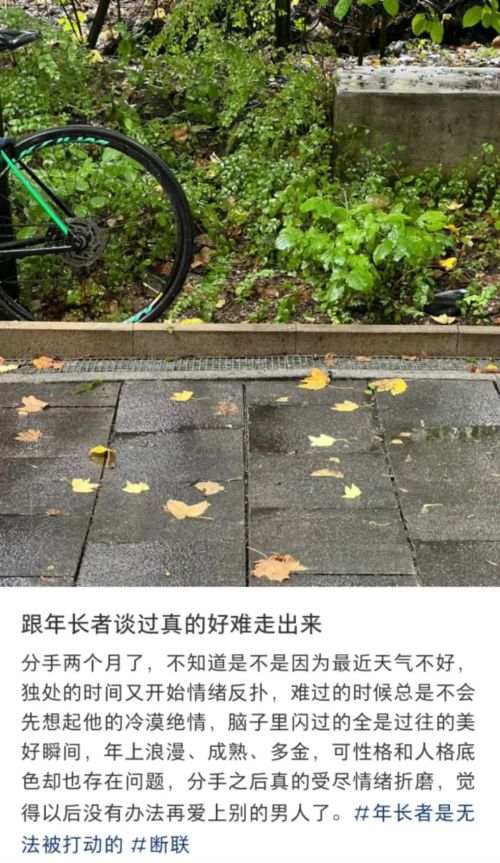 a1.jpg
