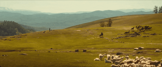 a1.gif