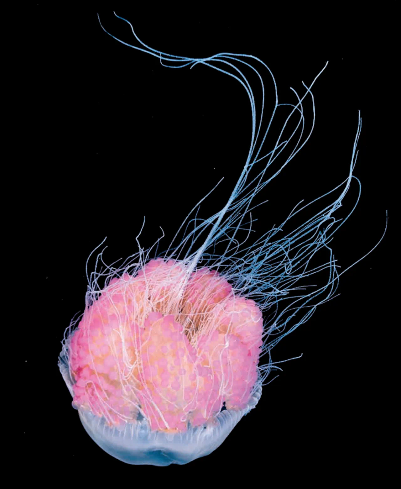 IMG_5788.PNG