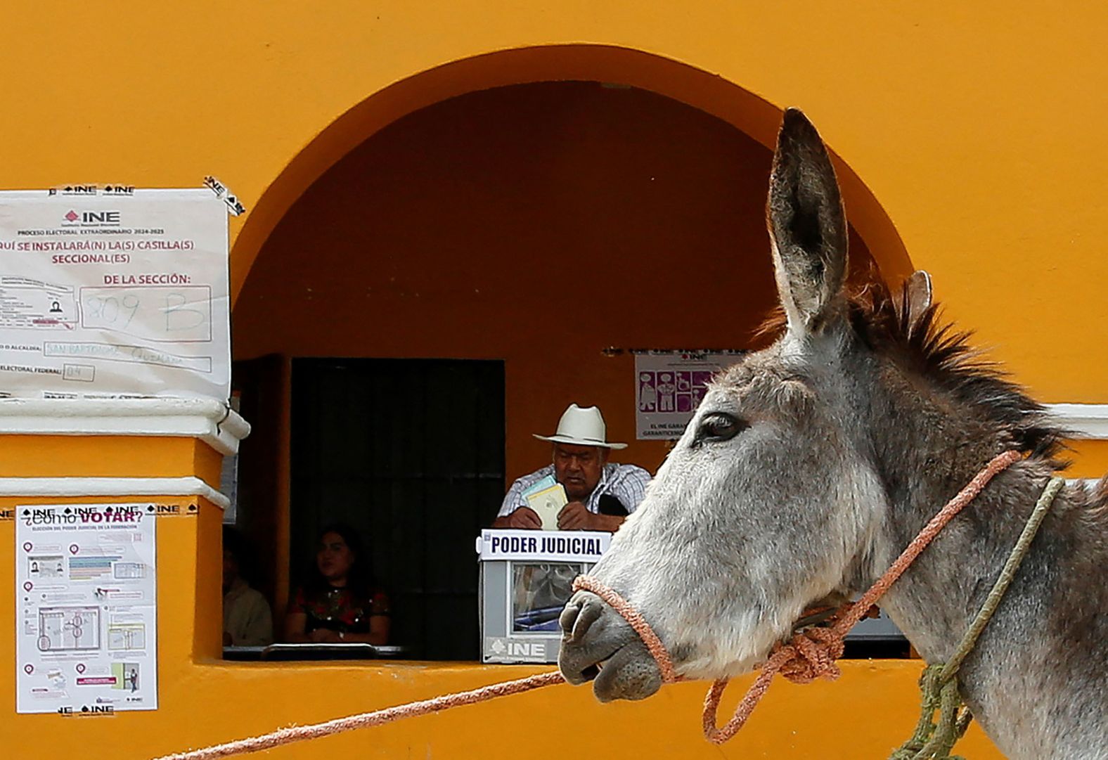 017-2025-06-02t002850z-1335628096-rc2mtea3xmm5-rtrmadp-3-mexico-election-judges.jpg