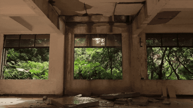 IMG_5865.GIF
