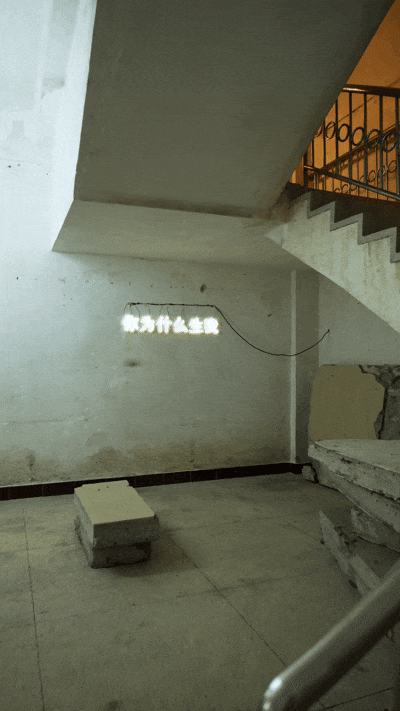 IMG_5882.GIF