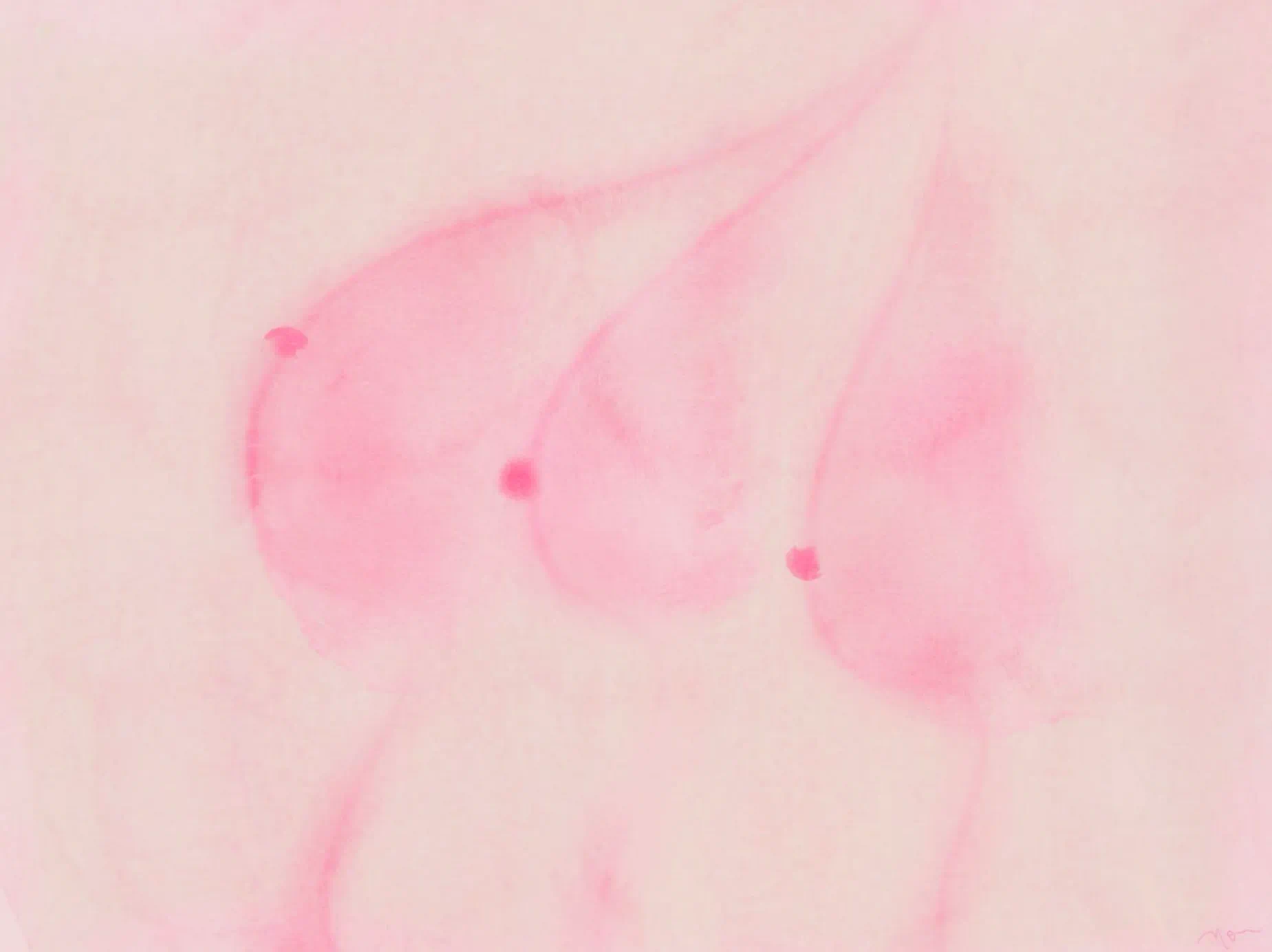 IMG_6856.PNG