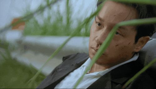 a1.jpg
