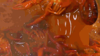 IMG_0171.GIF