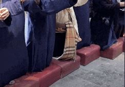 a1.jpg