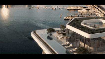 20.gif