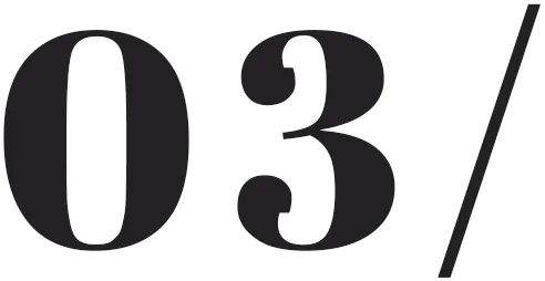 IMG_3025.PNG